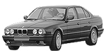 BMW E34 P081B Fault Code